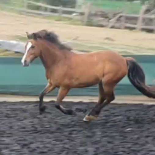 Petra im Wald mit Maiglöckchen